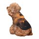 thumbnail image 5 of Balery Cute Sunflower Guinea Pig Sudadera con Capucha para Perros Pequeños – Ropa para Mascotas, Disfraz para Perros y Gatos, Ideal para Fiestas y Cosplay-X-Large, 5 of 7