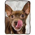 thumbnail image 1 of Imaginarium Goods  Aspca Dog Fleece Blankets, 1 of 1
