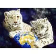 thumbnail image 1 of Taladro Pintura Diamante (DE4899) DIY Animal Punto de Cruz 5D Decoración de Pared Completa (C1366) 45x60cm Hugtrwg Para estrenar, 1 of 1