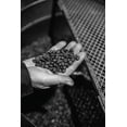 thumbnail image 3 of Bristot Espresso for Home Espresso Machines - Medium Roast Italian Espresso Beans Whole - 2.2 lb/ 1000 g, 3 of 7