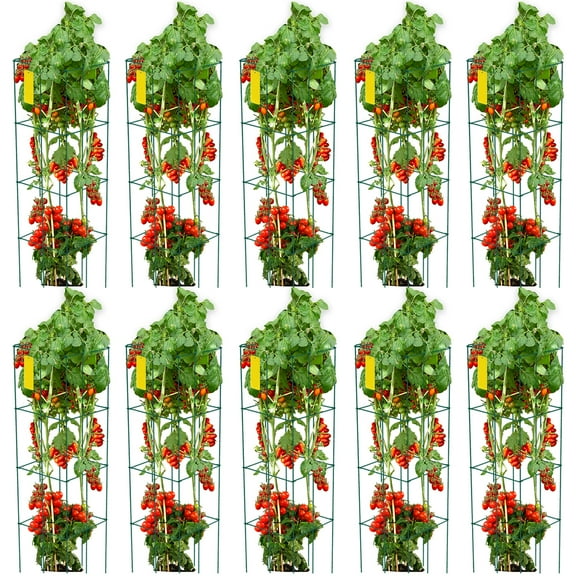 KFFKFF Tomato Cages, 11.8" x 11.8" x 46.1", 10 Packs Square Plant Support Cages, Silver PVC-coated Steel Tomato Towers for Climbing Vegetables, Plants, Flowers, Fruits