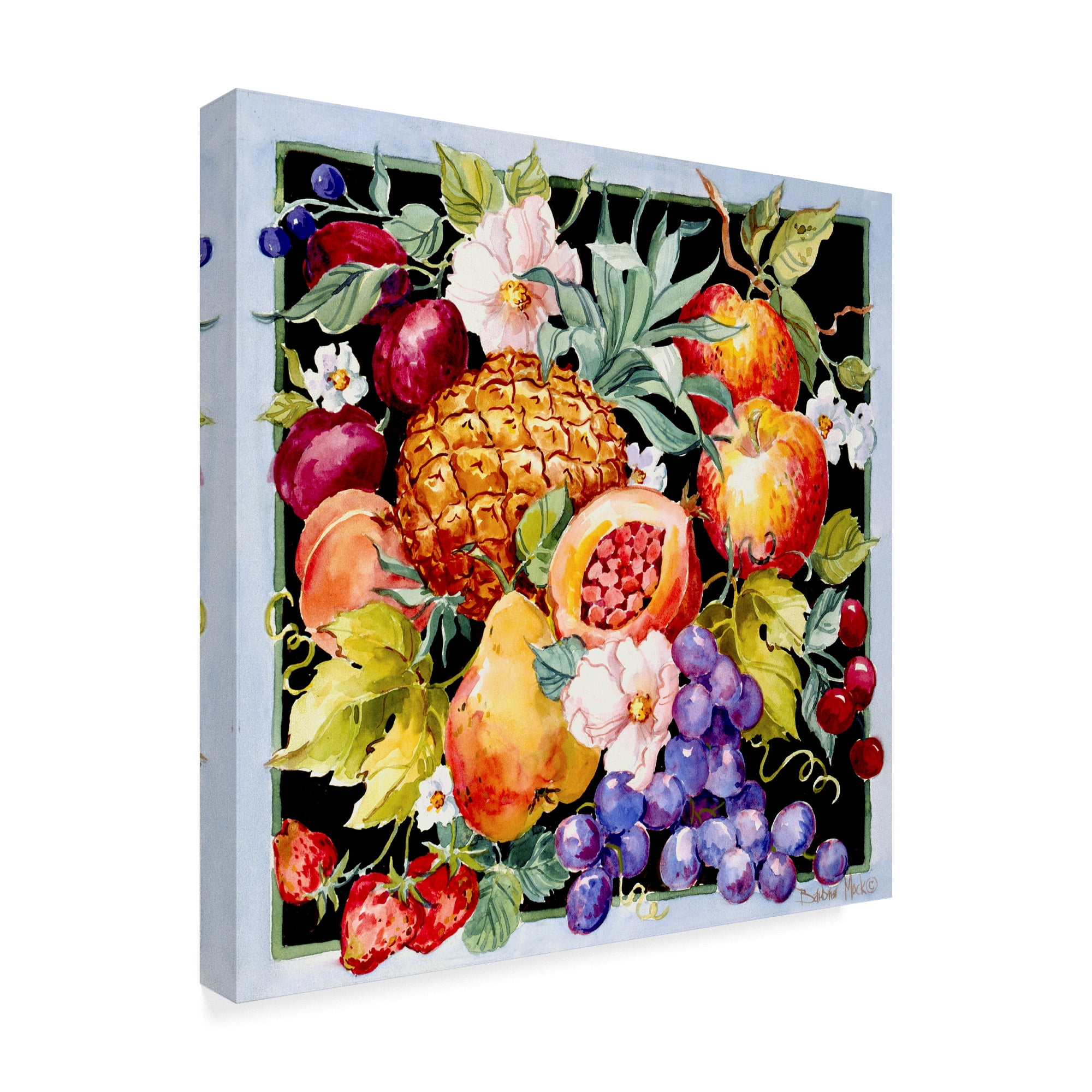 Trademark Fine Art 'Bright Summer Fruits' Canvas Art by Barbara Mock