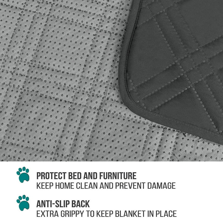 Bed cover to top protect from pets
