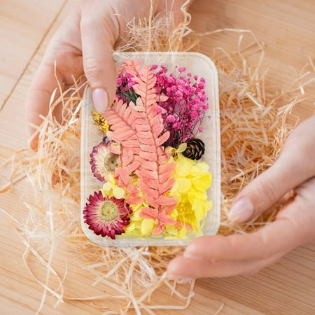 

Simulation Flowers 1 Box Real Dried Flower Resin Fillings Expoxy Flower For Epoxy Resin Jewelry Making Craft DIY Supplies Accessories (Forget Me Not)