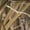 Mossy Oak Shadow Grass Habitat, variant on Drake Men's Ultimate Wader Quarter Zip Hoodie Mossy Oak Shadow Grass Habitat 2XL