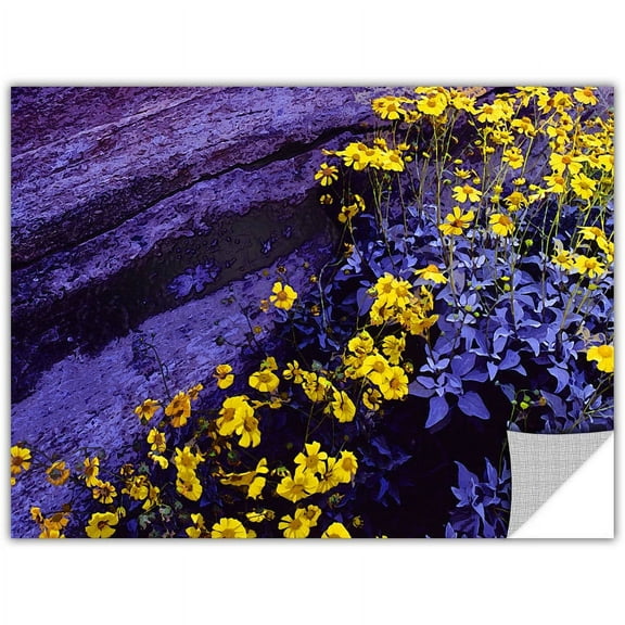 Dean Uhlinger Desert Sunflower Dusk, Art Appeelz Removable Wall Art Graphic