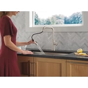 Delta 19868Lf Nicoli 1.8 GPM Single Hole Pull Down Kitchen Faucet - Matte Black /