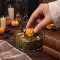 thumbnail image 7 of Halloween Decor Mini Resin Pumpkin Ornaments Waterproof Reusable Figurines for Party Favors Home Accents and DIY Crafts by MPOISVA, 7 of 7