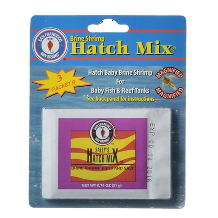 Feeding Brine Shrimp - SF Bay Brands Brine Shrimp Hatch Kit .61 oz each (3 Pack)