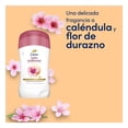 thumbnail image 3 of Antitranspirante Dove tono uniforme caléndula y vitamina E en barra para dama 45 g, 3 of 6
