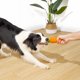 thumbnail image 5 of Squeaky Chew Toys for Dogs, Durable Natural Rubber Carrot Dog Toys, Teeth Cleaning Toy for Medium and Large Puppies (Yellow), 5 of 5