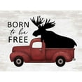 thumbnail image 2 of lettered And lined 18x15 Black Ornate Wood Framed with Double Matting Museum Art Print Titled - Born to be Free Moose, 2 of 4