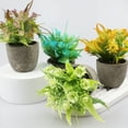 thumbnail image 4 of Advancent Elegante planta de jade artificial en maceta para apariencia realista verde interior o exterior Decoración aliento de bebe café, 4 of 6