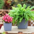 thumbnail image 5 of GQDIN Woven Rattan Self-Watering Square Planter, Self Watering Planter Indoor Outdoor, Thickened Table Flower Plant Pot, Modern Plastic Flower Container for Indoor Greenery, 5 of 9