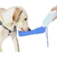 thumbnail image 1 of Compañero taza para beber botella de agua Productos al aire libre portátil perro hervidor de agua bebedero Azul 1 pieza Rojo Verde, 1 of 5