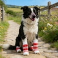 thumbnail image 4 of Pet Sweater, Dog Leg Warmers Dog paw Protector hock Protector for Dogs Leg Socks Knee Pads Joint Support (M (3-8 lbs)), 4 of 4