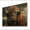 thumbnail image 2 of Designart "Bison Likeness " Animals Print on Natural Pine Wood, 2 of 5