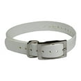 thumbnail image 2 of The Buzzard's Roost BUZZ-COLLAR-S-W Collar Strap 1", 2 of 2