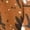 Daisy Floral Brown, variant on Girls Zip Up Hoodie Bird of Paradise Print Casual Long Sleeve Jacket Lightweight Sweatshirt with Pockets Winter Fall Outwear Tops 6-7 Years