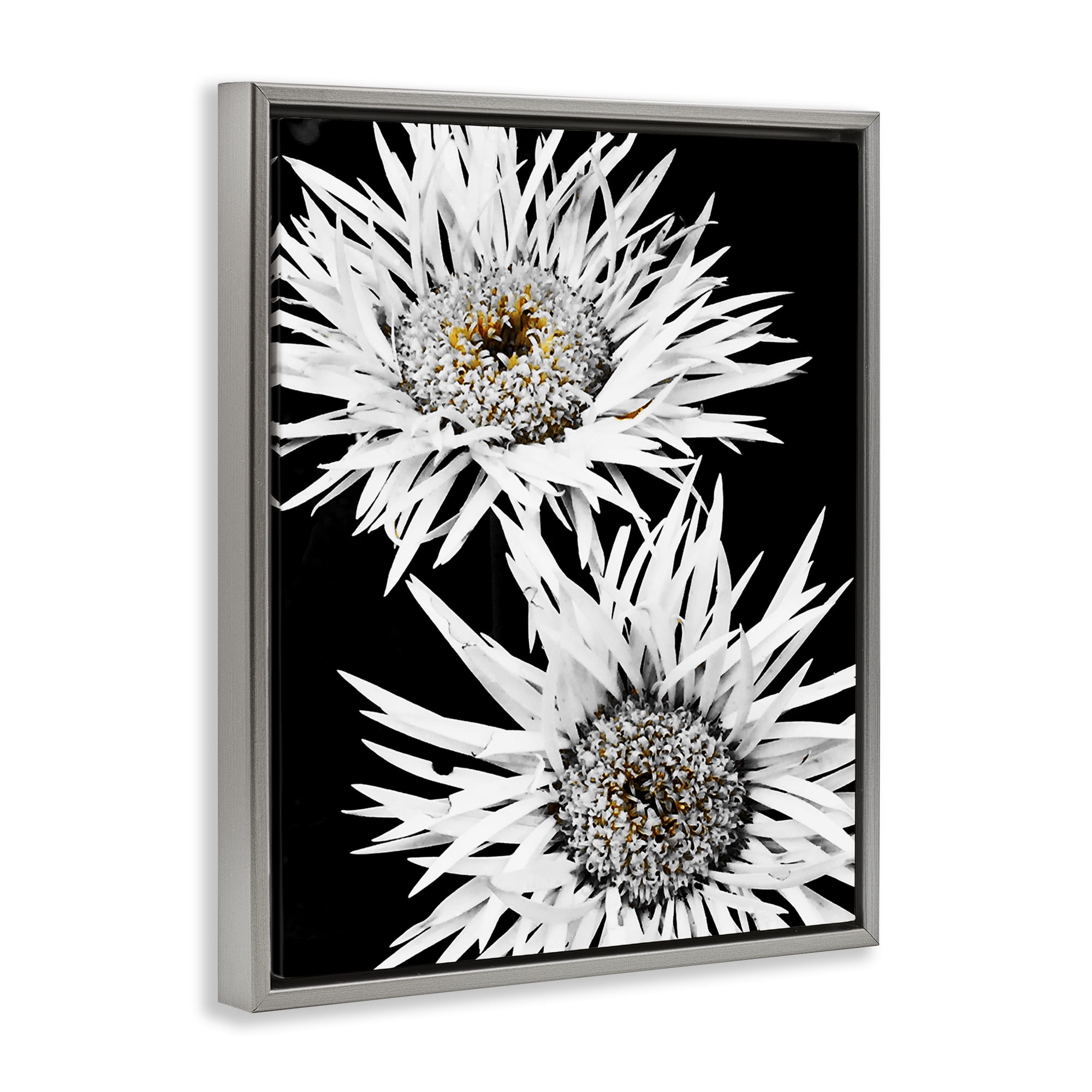 Stupell Industries Bold Contrast Flower Buds Plants & Flowers Painting Gray Floater Framed Canvas Art Print Wall Art, 17 x 21