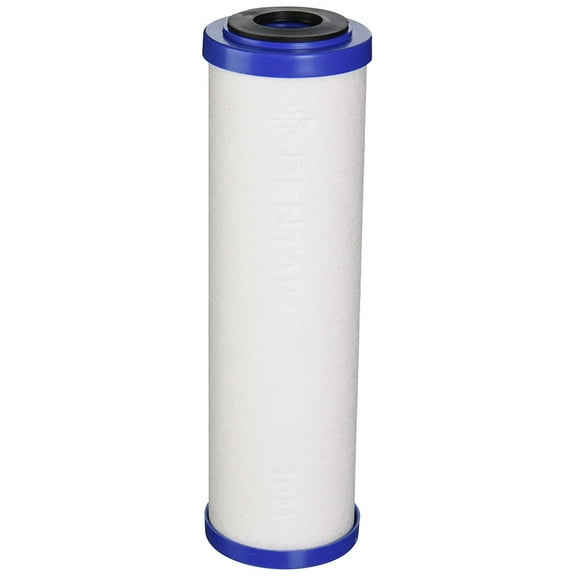 Pentek 655130-43 Sediment/Carbon Filter