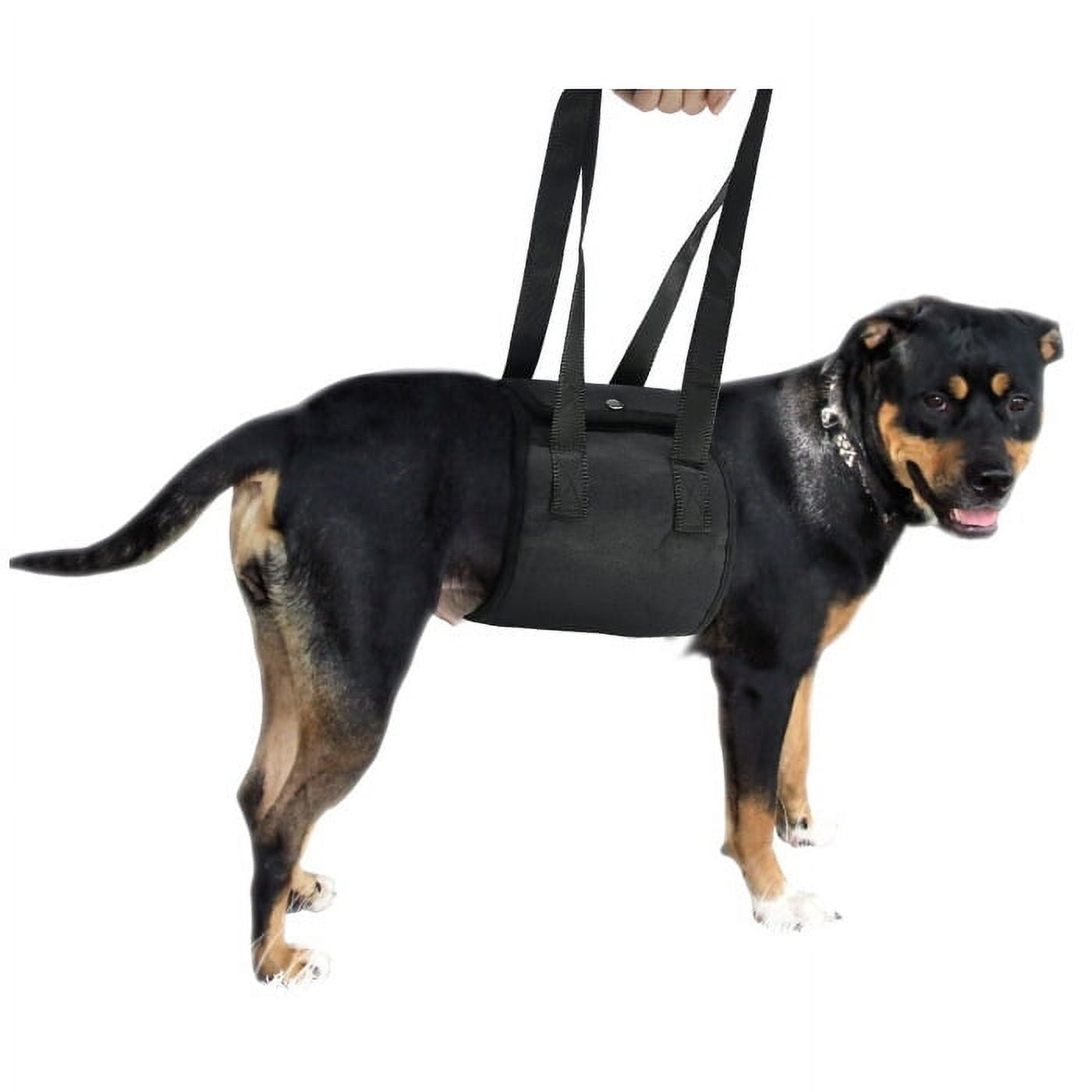 Black L Lifting Harness for Senior or Handicapped Dogs Back Support Strap Helps Weak Legs Get Up Walk Climb Stairs for Medium Dogs