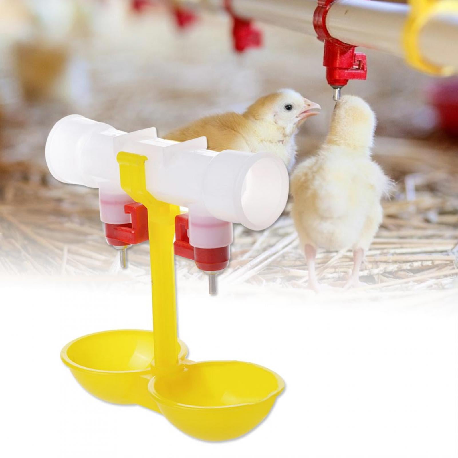 Plus-One Automatic Hanging Waterer Chicken Quail Poultry Bird Waterer 