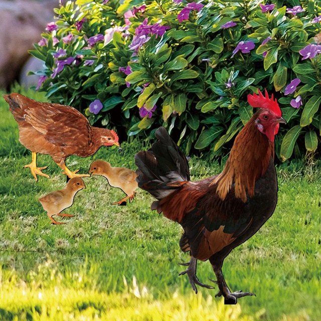 KAKOWELY 4Ud Estacas Decorativas Para Jardín De En Acrílico Resistentes Para Exteriores