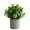 Green #0, variant on Artificial Potted Plant | Realistic Green Plastic Tabletop Flower Arrangement | 13x13x11 cm Indoor Décor Bouquet | Low Maintenance Home Office Decoration