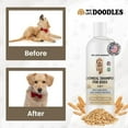 thumbnail image 7 of 5-in-1 Premium Oatmeal Shampoo for Dogs, Gentle for Itchy & Sensitive Skin, Provides Itch Relief, Hypoallergenic & Soothing for Dry Skin, Moisturizing Anti-Itch, Made in USA, 16 oz [We Love Doodles], 7 of 7
