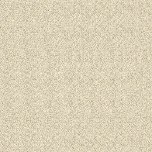 Kelley Technical Olympic Patio Tones Deck Coating Desert Sun 1