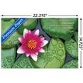 thumbnail image 3 of Zen - Lily Pads Wall Poster, 14.725" x 22.375", 3 of 3