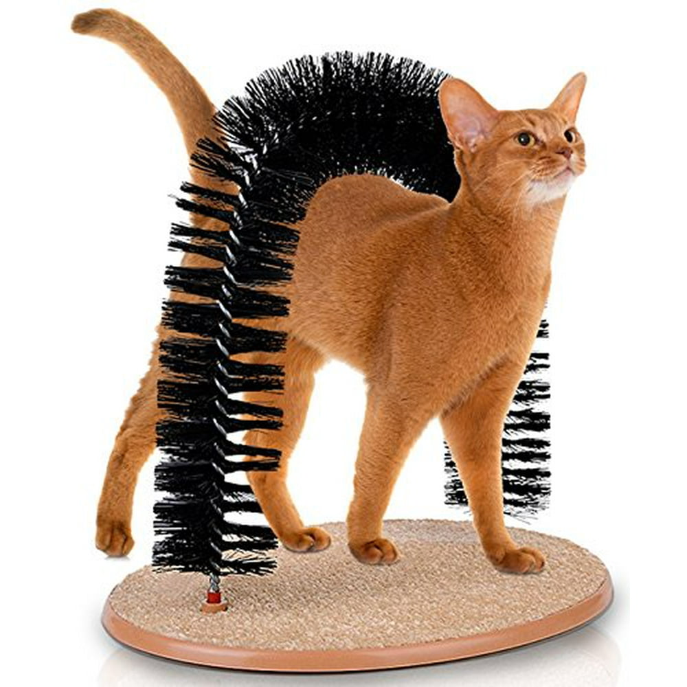 self grooming cat scratcher
