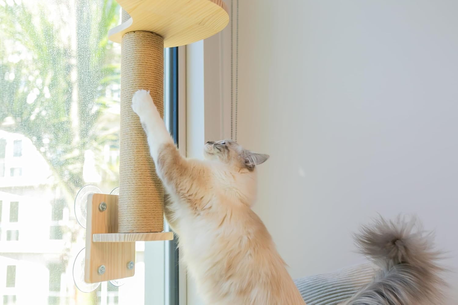 4-in-1 Window & Wall Mount  Wall Shelves – Hammock, Scratching Post & Perch |   Fits  to 40 lbs |   Space-Saving Pet Furniture for Windows, Glass & Drywall |   Modern Wood  Shelf Set