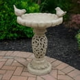 thumbnail image 6 of Benjara Niam Bird Bath Sculpture- 26" Weathered White Scrolled Resin, 6 of 6