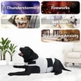 thumbnail image 5 of GASTROPOD 2026 New Dog Anxiety Jacket,Skin-Friendly Dog Calming Shirt - Dog Coat for Thunder,Fireworks&Separation - Keep Pet Calm Without Medicine & Training,Anti Anxiety Vest for Dogs(Dark Grey,Xl), 5 of 6