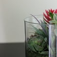 thumbnail image 3 of 8" Artificial Mixed Succulent Arrangement in Round Glass Jar, 3 of 5