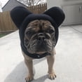 thumbnail image 6 of Dog Fleece Hat Thicken Costume Headwear Props Pet Snow Headwear Party Costume Photo Props Cosplay Caps, 6 of 9