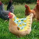 thumbnail image 5 of Delantal de gallina con montura de pollo de 3 piezas, chaqueta de pollo, delantal de gallina, fijador de plumas, cubierta trasera de ala de aves de corral, 5 of 6