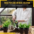 thumbnail image 6 of Net Pot 3 inch with Lids Mesh Hydroponic Aeroponic Orchid Round (25 Pack), 6 of 6