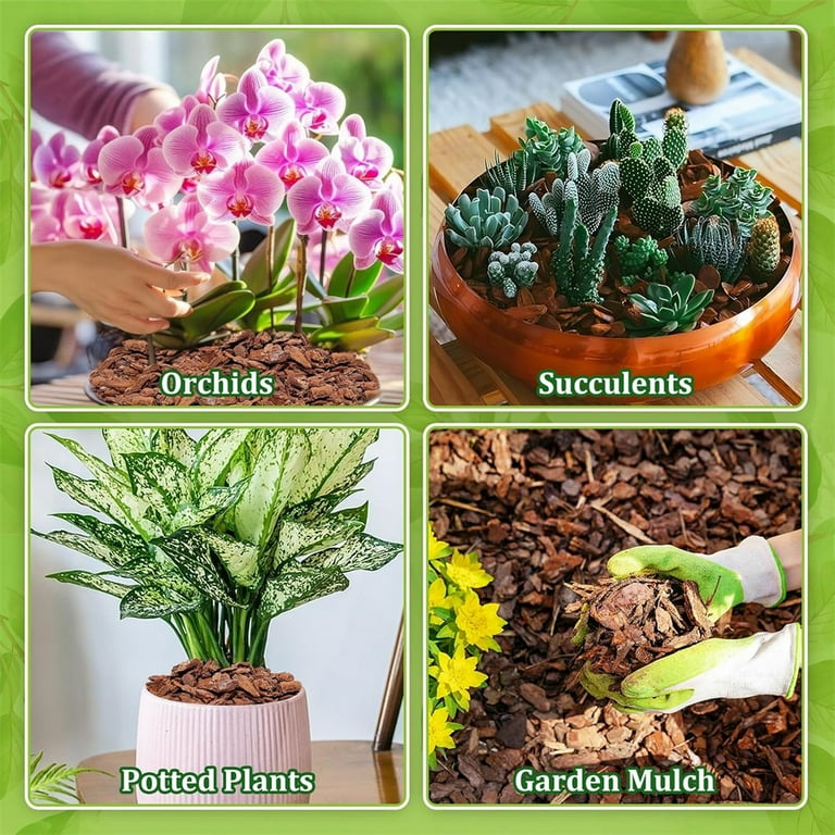 Triani 10.58 oz Orchid Potting Bark -Natural Mulch for Potted Plants 6-12mm  Sun-Dried Organic Pine Wood Chip Potting Barks Help Orchid Plants Root ...