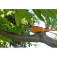 thumbnail image 4 of Adorno Pájaro Animal Jardín Libre Decoración de árbol Amarillo Sharpla, 4 of 8