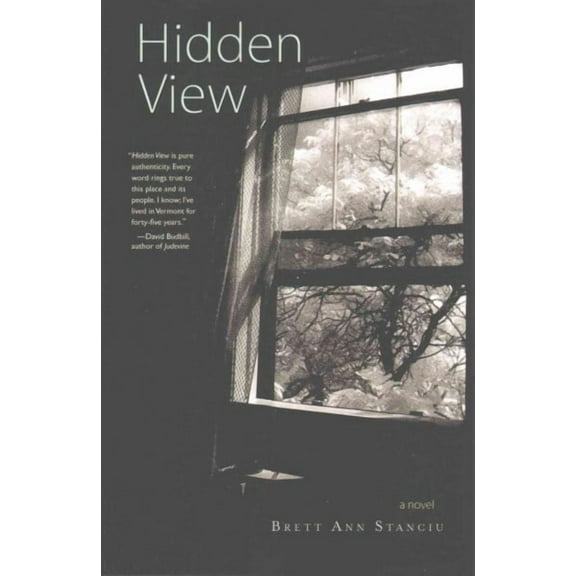 Hidden View (Paperback)