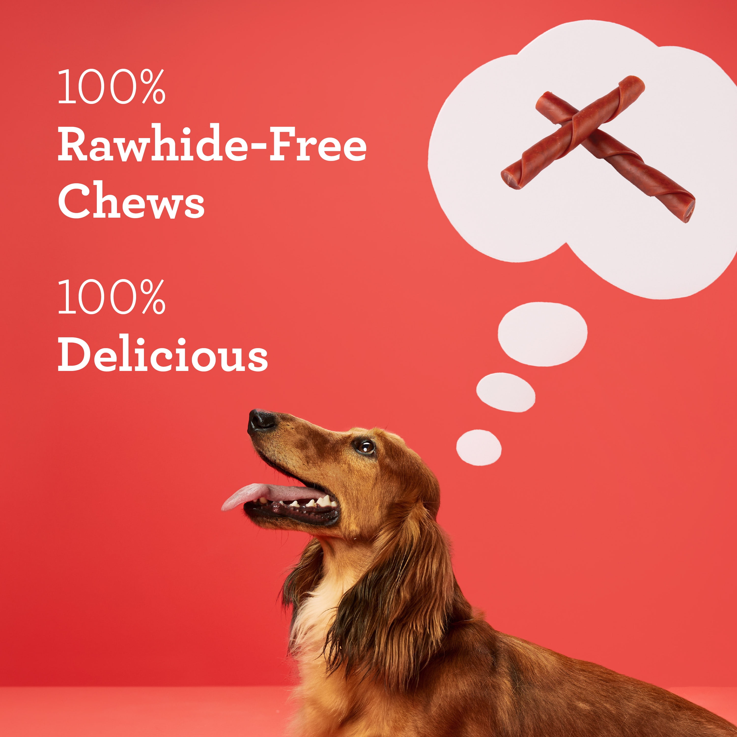 DreamBone Stuffed Twistz Rawhide-Free Chews for Dogs, with Real Pork, 9 Count
