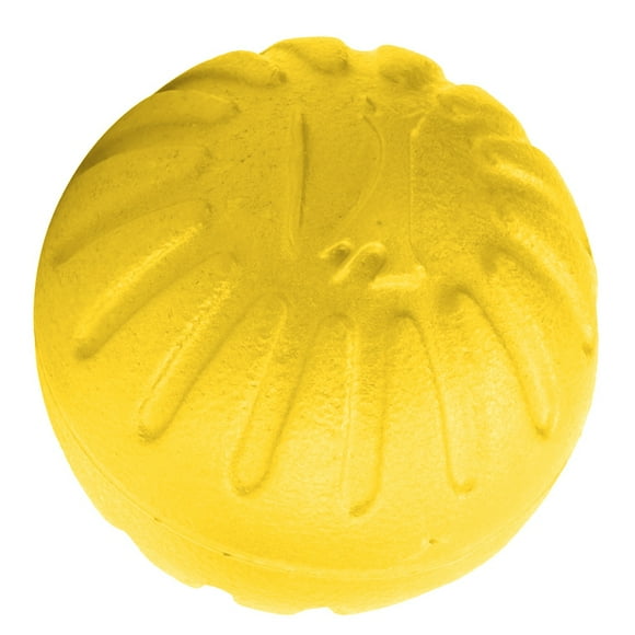 Herwey 1 pcs Balle pour Chien en EVA Jouet Animal Résistant aux Morsures Jouets à Mâcher Animaux Balles Interactives