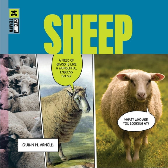 Sheep, (Paperback)