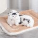 thumbnail image 1 of Tapete para perros, tapete para gatos, tapete para mascotas, 1 of 7