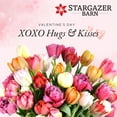  XOXO 30 Assorted Fancy Tulips with Vase Prime Shipping Mothers Day