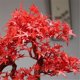 thumbnail image 3 of Bonsái de arce rojo artificial con macetas, ideal for decoración de hoteles, paisajismo y escritorios., 3 of 6
