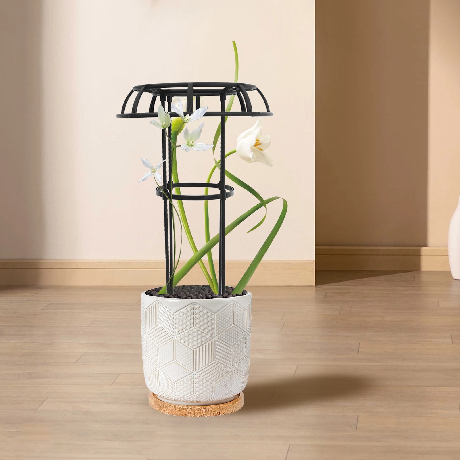 WHAMVOX  Trellis for Climbing Plants Vegetable Support Vine